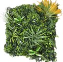 Ver imagem 1 de Painel Jardim Vertical Artificial Modulo de 50x50cm - F5090g