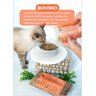 Carne Bovina Comida 100% Natural Completa para Gatos Weasy Food - 4