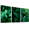 Quadro Decorativo Trio Folhas Verdes - 6