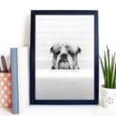 Ver imagem 1 de Quadro para Banheiro Bulldog na Banheira 24x18cm - com Vidro:madeira Branca