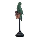Ver imagem 1 de Escultura Decorativa Papagaio Ornamental Pedestal 64x15:Verde