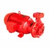 Motobomba Incêndio 25cv 60Hz Trifásico 220/380/440/760V ECS-2500IN Eletroplas - 3