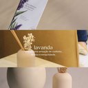 Ver imagem 3 de Óleo Difusor de Aromas Acqua Aroma Dia a Dia 120ml Lavanda