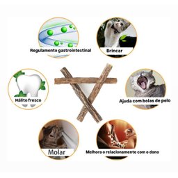 Kit 30 Unidades Graveto Catnip Orgânico Matatibi Gatos - 6