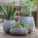 Ver imagem 5 de Vaso Relevo Oval Baixo 23 (40,2l) Cimento Queimado Nutriplan