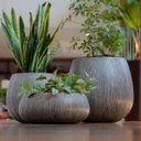 Ver imagem 4 de Vaso Relevo Oval Baixo 23 (40,2l) Cimento Queimado Nutriplan