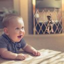 Ver imagem 4 de Portao Retratil Grade Bambu Bebe Criança Gato Cachorro Pet Cao Animal de Estimaçao Cercado Ajustavel