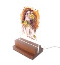 Ver imagem 1 de Abajur e Luminária Decorativa Signo Sagitário