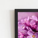 Ver imagem 2 de Quadro Lilás Violeta Flores Fotografia Moldura Preta 60x40cm