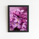 Ver imagem 1 de Quadro Lilás Violeta Flores Fotografia Moldura Preta 60x40cm