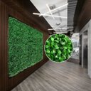 Ver imagem 5 de 15 Placas Plantas Permanentes Jardins Verticais Artificiais para Decorar Comércios Fácil Instalação