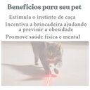 Ver imagem 3 de Coleira Laser Interativo Gato Pet Animais Colar Brincar Diversao Caça Recarregavel Portatil Usb