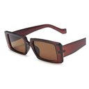 Ver imagem 1 de Óculos Blogueira Marrom Proteção Uv