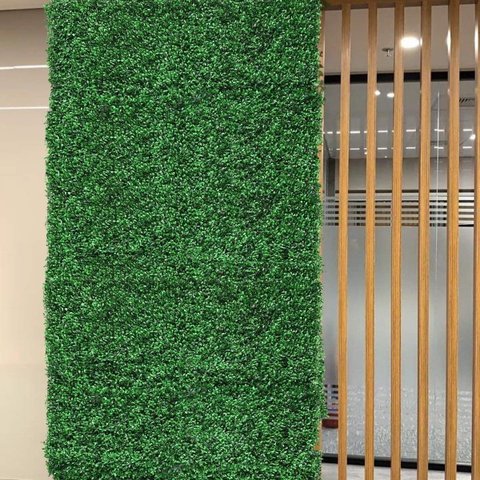 15 Placas Planta Permanente (60x40) Amendoim Decoração Comércio e Escritórios Área Coberta Luxo
