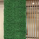 Ver imagem 1 de 15 Placas Planta Permanente (60x40) Amendoim Decoração Comércio e Escritórios Área Coberta Luxo