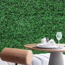 Ver imagem 5 de 15 Placas Planta Permanente (60x40) Amendoim Decoração Comércio e Escritórios Área Coberta Luxo