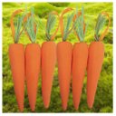 Ver imagem 1 de Enfeite Decorativo Páscoa 12 Cenouras Pendentes Isopor 14cm
