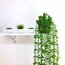 Ver imagem 4 de Arranjo c/ Vaso Dischidia Suculenta Artificial