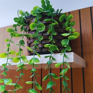 Arranjo C/ Vaso Dischidia Suculenta Artificial