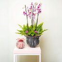 Ver imagem 4 de Vaso Trouxinha Cristal Murano Rosa Candy Love P