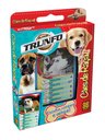 Ver imagem 3 de Jogo de Cartas - Super Trunfo - Cães de Raça 1 - Grow