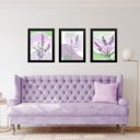 Ver imagem 2 de Kit 3 Quadros Arte Lavanda Lilás e Verde 33x24cm - com Vidro:moldura Branca