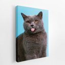 Ver imagem 2 de Gato Cinza Fundo Azul Pets Animais Quadro Canvas 140x90cm