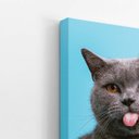 Ver imagem 3 de Gato Cinza Fundo Azul Pets Animais Quadro Canvas 140x90cm