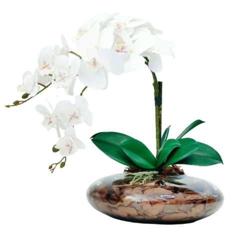 Arranjo com 2 Orquideas Flor Brancas Realista Vaso Terrário
