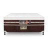 Cama Box Casal Castor Silver Star Air One Face Pocket Hibrido 138x188x59 + Box Castor - 2