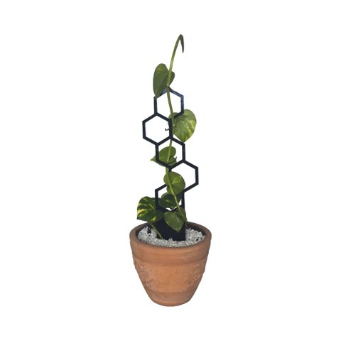 Tutor para Plantas, Guia Crescimento Forte