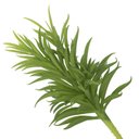 Ver imagem 2 de Folhagem Artificial Suculenta 21cm - D'Rossi Florarte