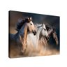 Quadro Cavalos Manada - 1