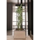 Ver imagem 2 de Cachepot Espelhado Ônix Demoglass C40 X A40 X L40