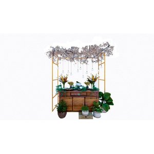 Gazebo Telado Dourado + Esteira de Palha Taboa para Decorar Jardins com Flores, 300cm Portátil e Des