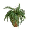 Ver imagem 6 de Kit 3 Buquês de Samambaia Artificial Realista para Decoração de Interiores