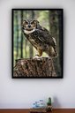 Ver imagem 2 de Quadro Decorativo Foto Coruja Tronco Árvore - 70x50cm:moldura Preta