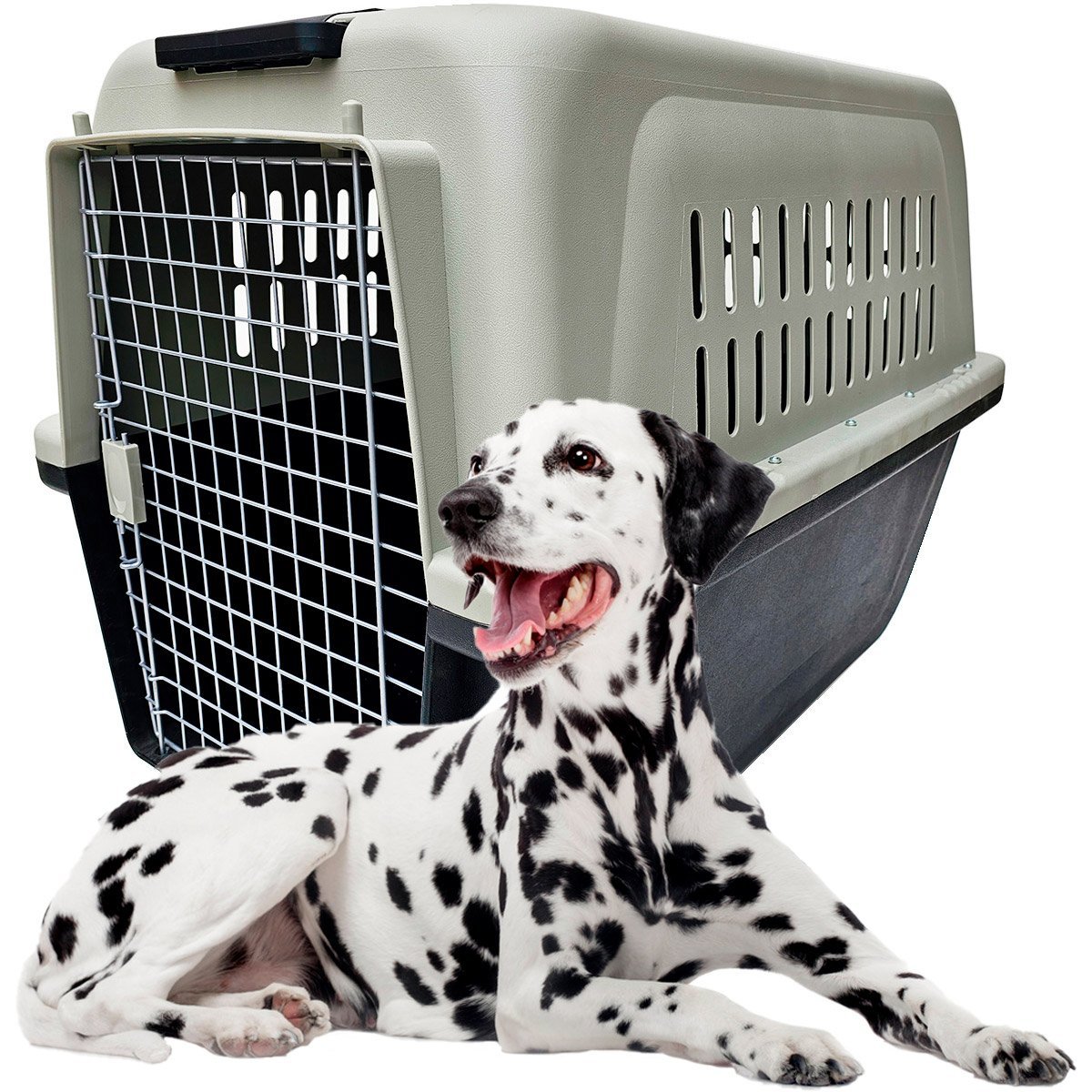 Caixa Plástica Transporte Cães Grandes com Rodas Nº4 - 1