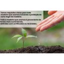 Ver imagem 2 de Cristaleira Estante Para Livros Ditália 2 Portas Vidro Preta