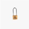 Cadeado Haste Longa 32 Mm Lt Max21607 Máxima - 1