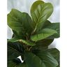 Arvore Planta 3 Hastes Ficus Lyrata Artificial Realista Permanente Decor - 2