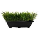 Ver imagem 7 de 18 Plantas Artificiais em Buquê Modelos Variados para Enfeite e Decoração