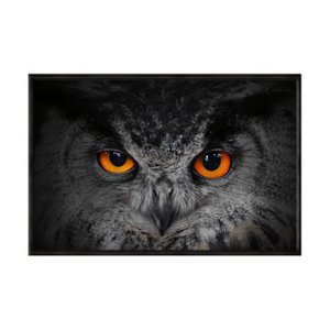 Quadro Decorativo - Coruja Preto e Branco Detalhes Laranja Anm006 - Vidro 60x40cm