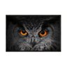 Quadro Decorativo - Coruja Preto e Branco Detalhes Laranja Anm006 - Vidro 60x40cm - 1