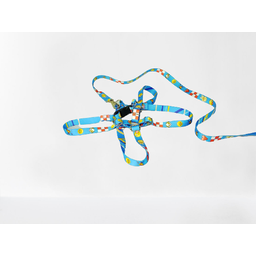 Conjunto Peitoral Ajustável RBPet com Guia - Cães de Mini Porte - 7