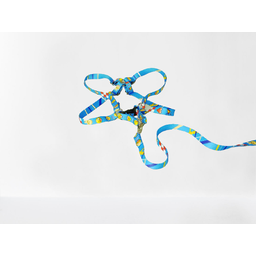 Conjunto Peitoral Ajustável RBPet com Guia - Cães de Mini Porte - 5