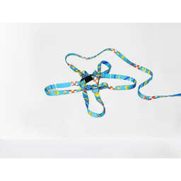 Conjunto Peitoral Ajustável RBPet com Guia - Cães de Mini Porte - 4