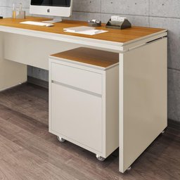 Conjunto de Escritório 2 Peças Mesa Gaveteiro 2 Gavetas Oslo - 8