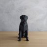 Rottweiler Geométrico Decorativo Pequeno Vegras Branco - 3