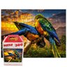 Quebra-cabeça Puzzle Pássaros Coloridos de 300 peças - 1